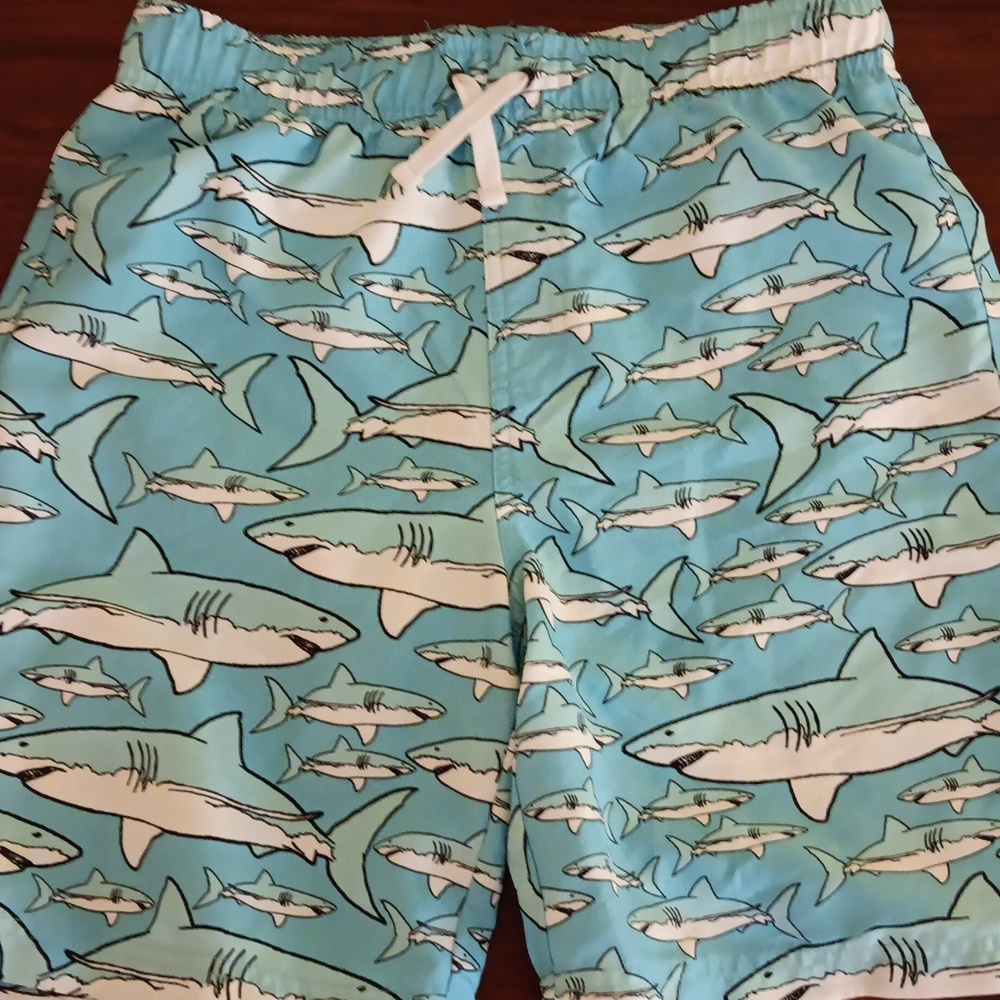 Boy's bathing suit